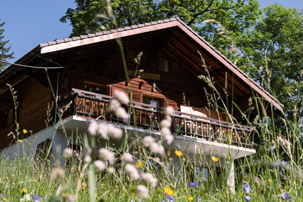 Hotel Le Wafo Gryon Esterno foto